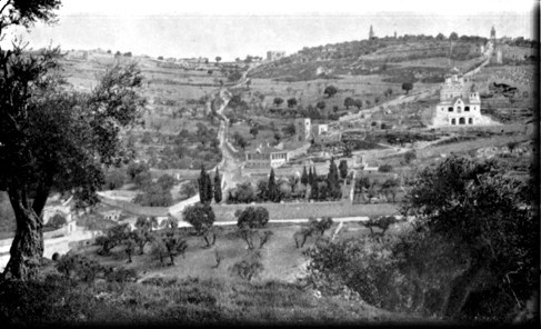 Mount of Olives - Yerushalayim