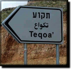 Tekoa Road sign in Yisrael